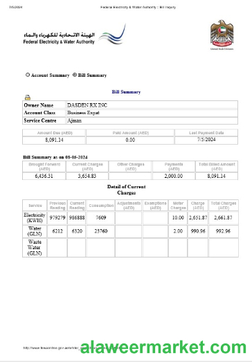 UAE Dubai Federal Electricity & Water Authority electricity, water business utility bill Word and PDF formats